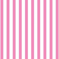 Great British Quilter ~ Back to Basics ~ Dashwood Studio ~ Stripe ~ Candy ~ Pink ~ Last Fat Quarter