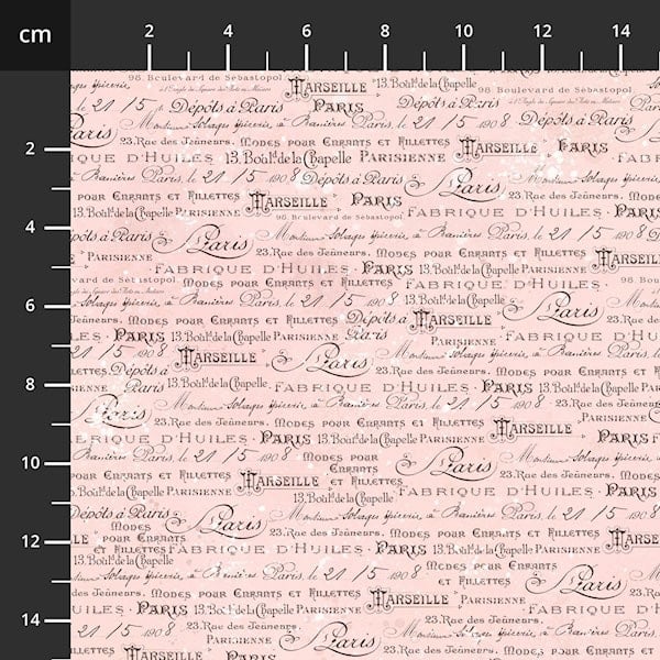 Parisian Snippets ~ Blank Quilting ~ Script ~ Lt Pink