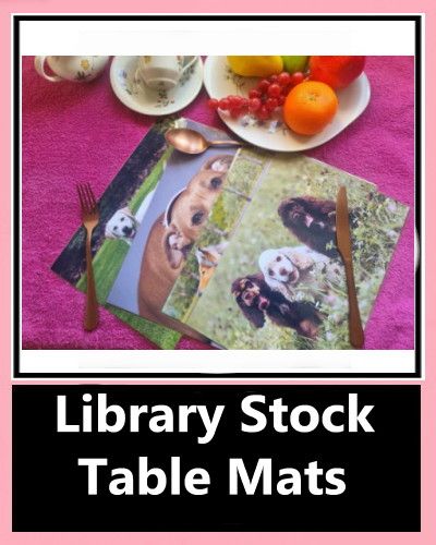 Library Placemats category logo