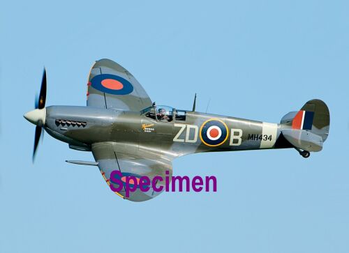 spitfire 1 b