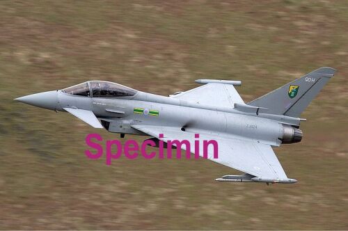 800px-RAF_Eurofighter_EF-2000_Typhoon_F2_Lofting-1 b