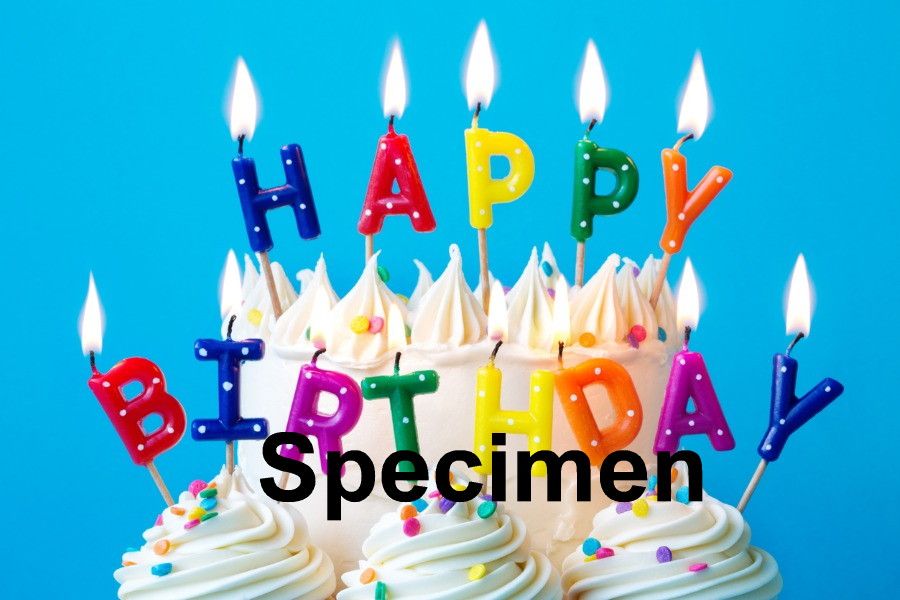 Birthday 4
