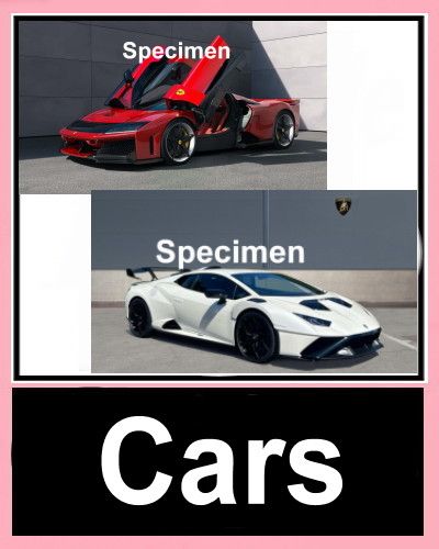 Cars