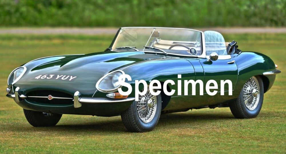 Jaguar E Type