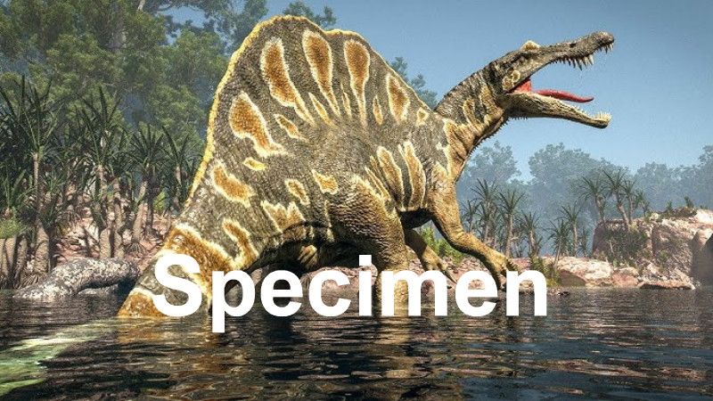 Spinasarous
