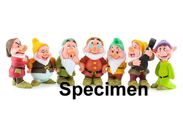 7 Dwarfs
