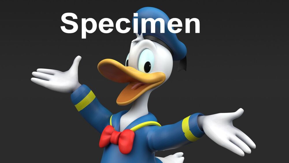 Donald Duck Place Mats