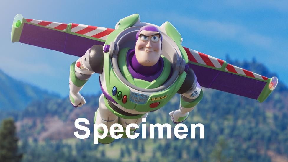 Buzz Light Year
