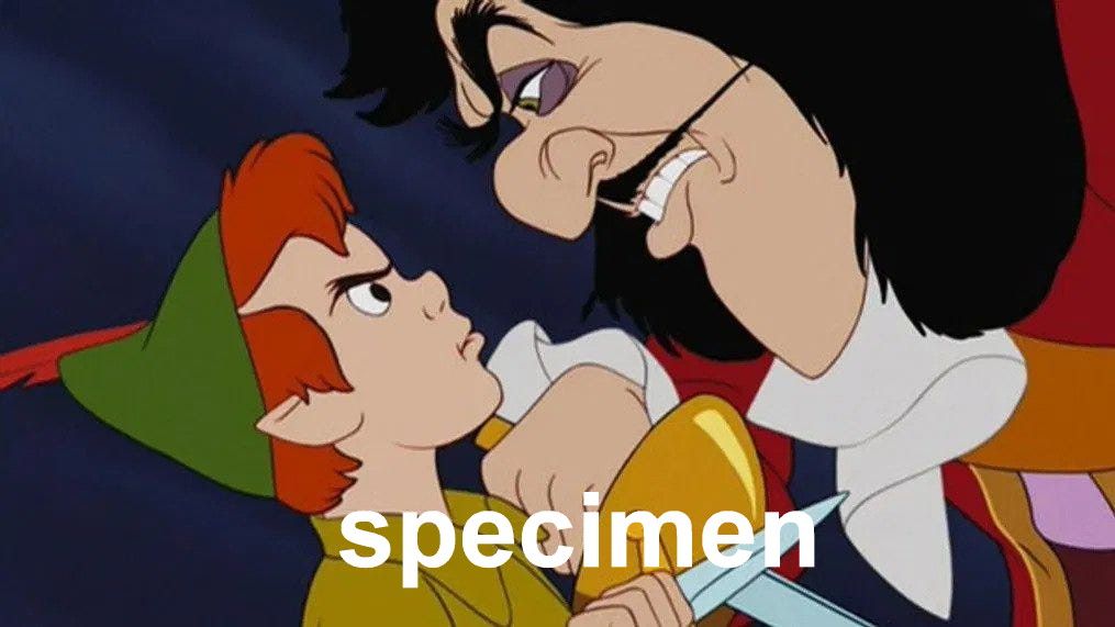 Captain Hook