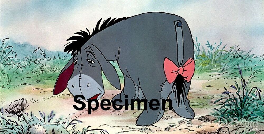 Eeyore