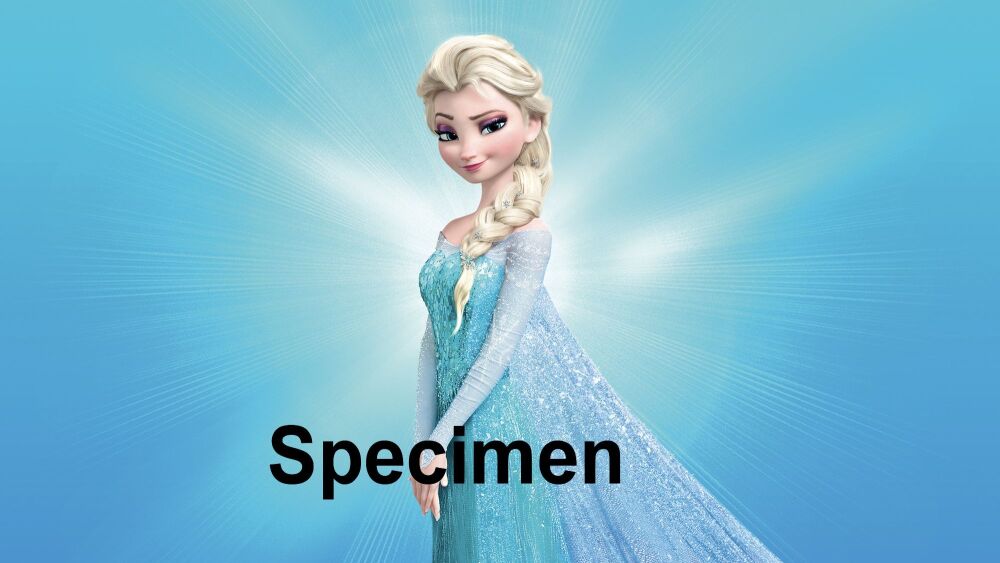 Elsa