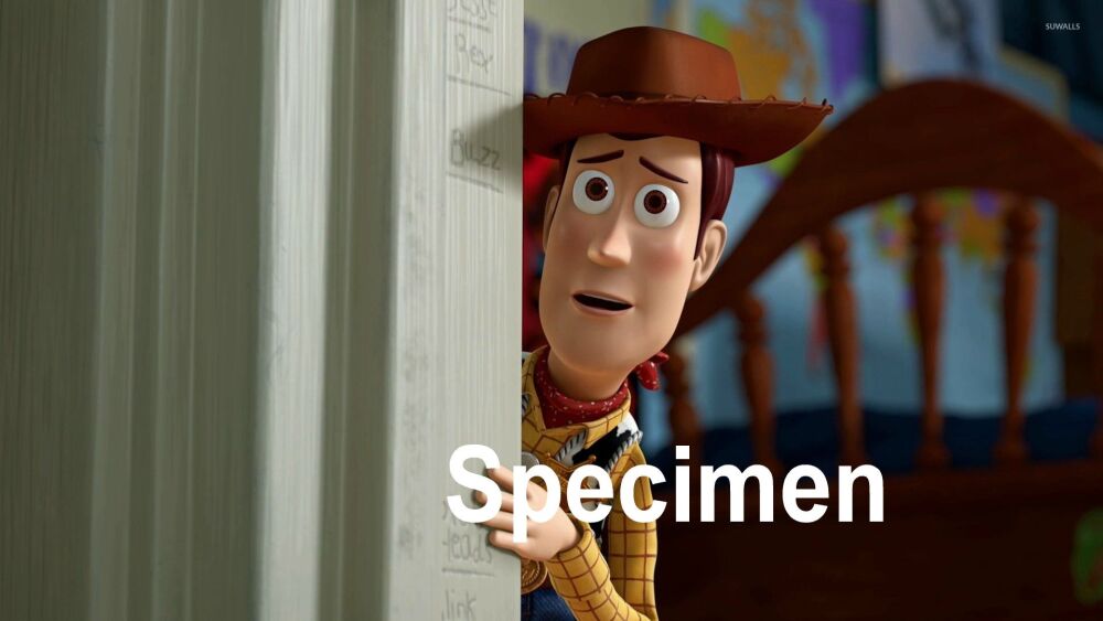 Woody