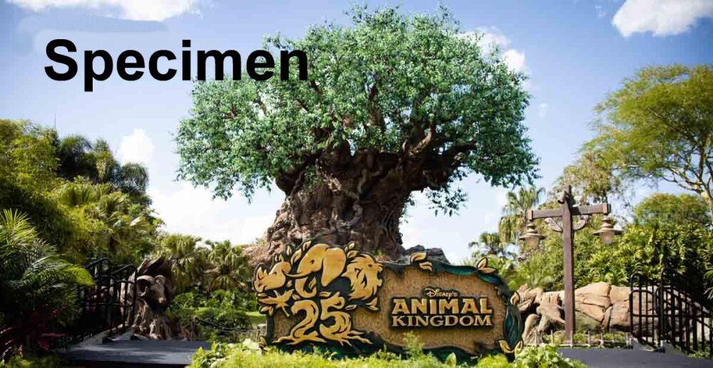 Animal Kingdom