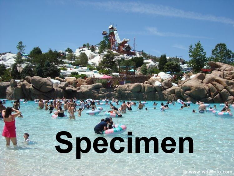 Blizzard beach