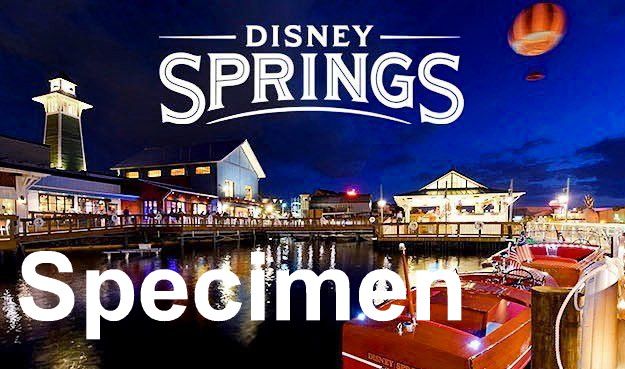 Disney Springs