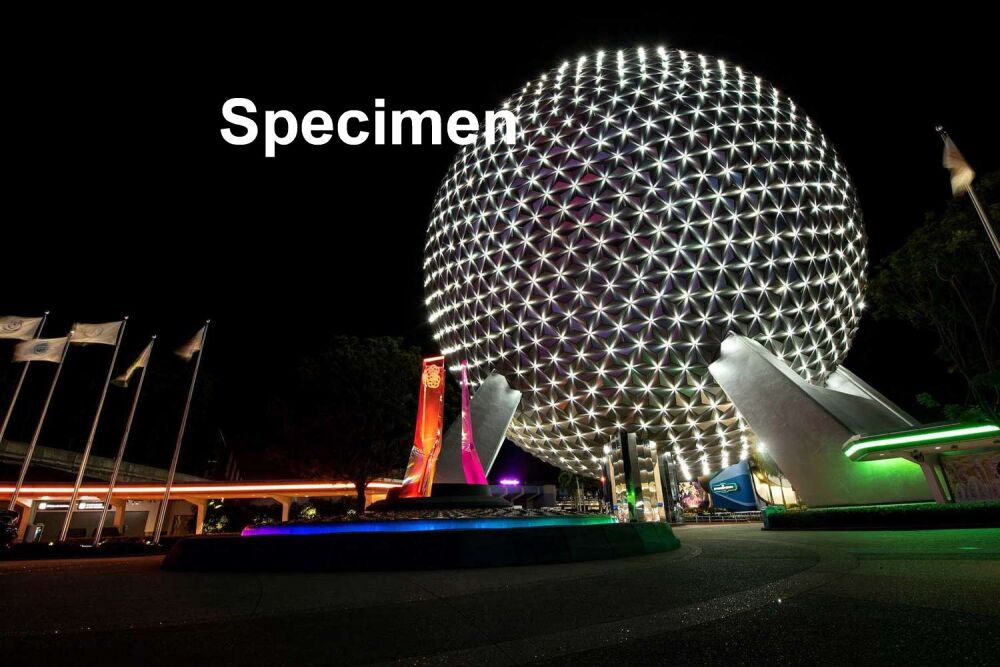 Epcot