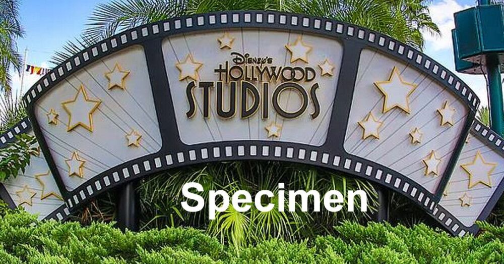 Hollywood Studios