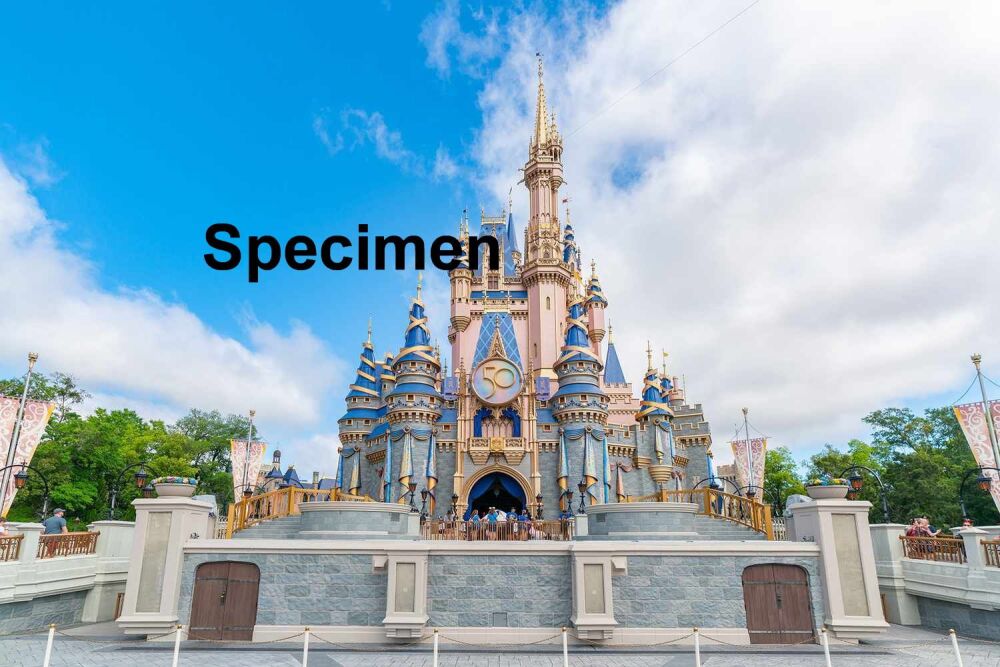 Magic Kingdom