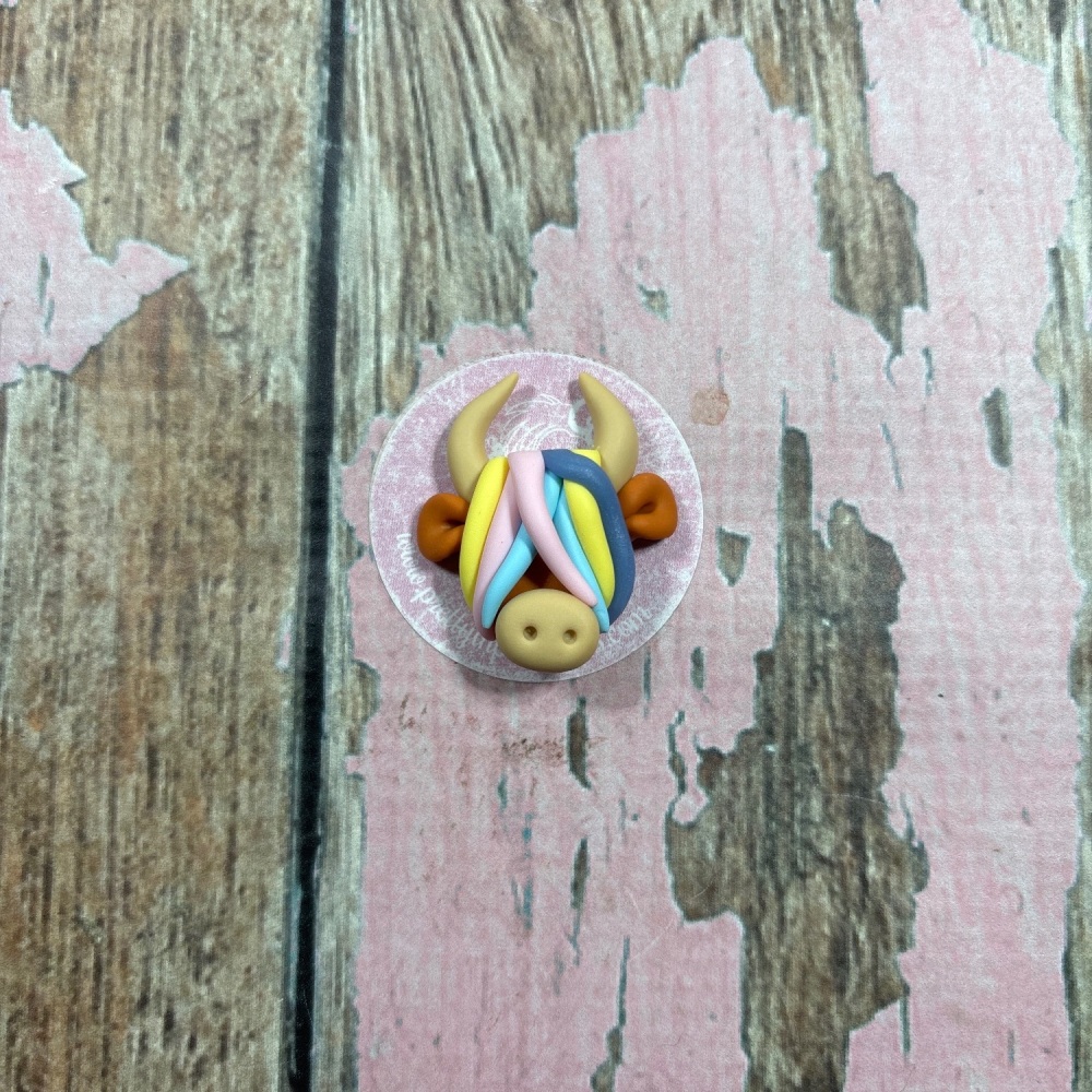 Highland cow Rainbow hair