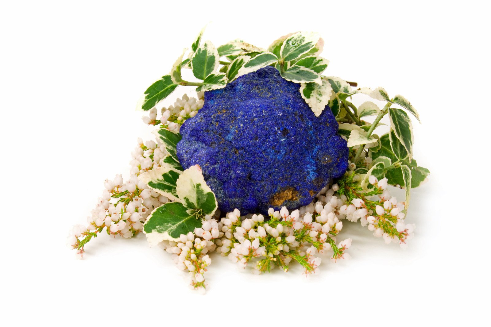 citrine point on purple flowers