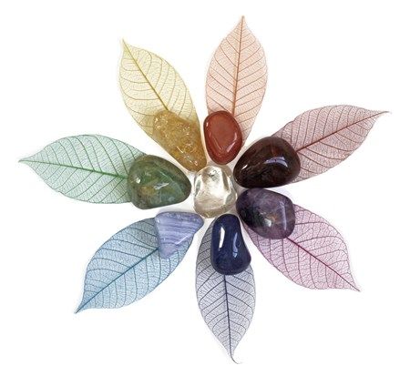 CRYSTALS ON DRIED LEAVES