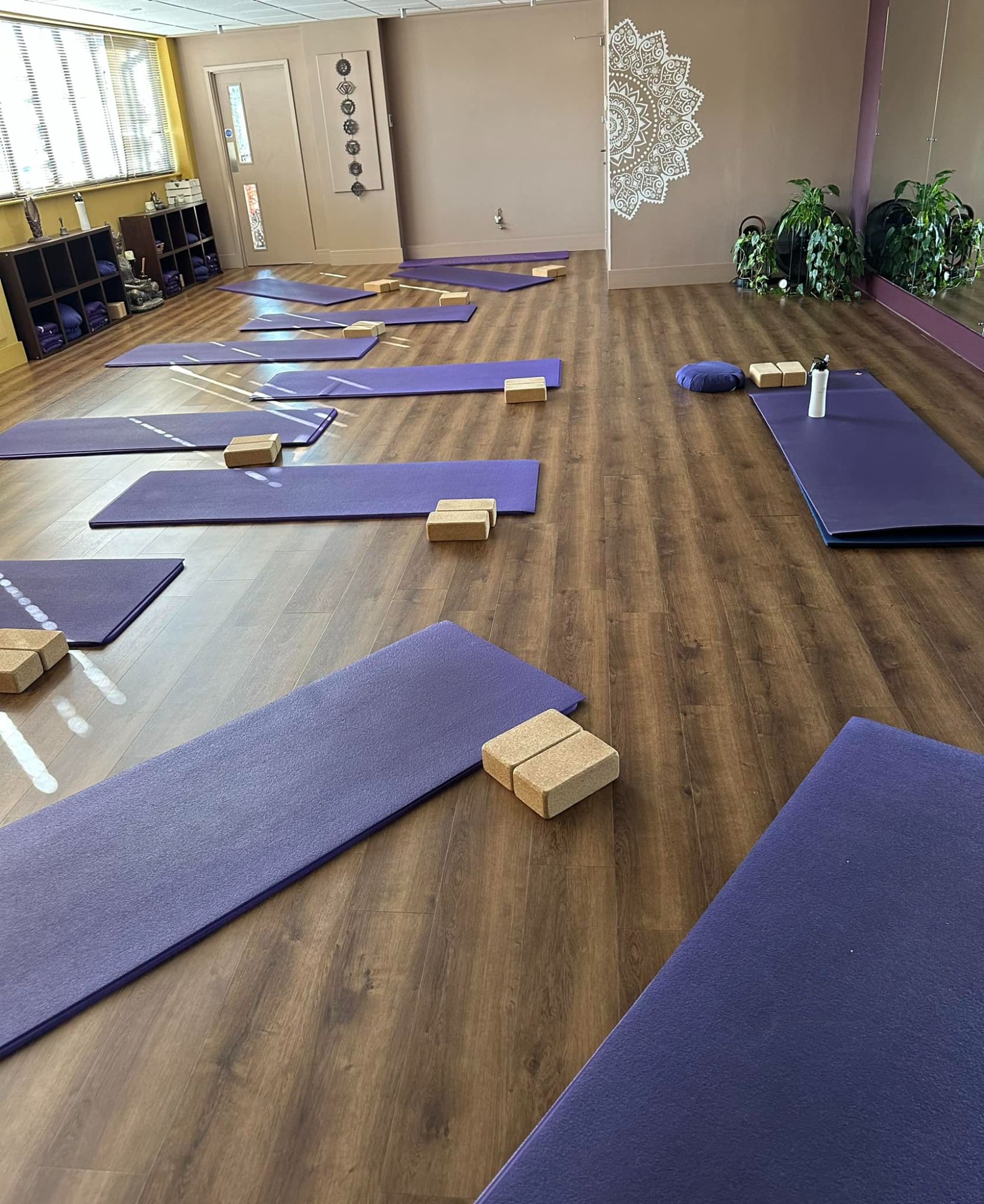 Power of Yoga Studio, Greenhill Sheffield