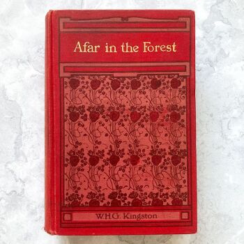 Afar in the Forest