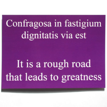 SALE- Rough Road to Greatness