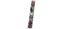White Long Rectangle Box for a Flower, 5 Truffle Insert And Clear Lid  360mm x 50mm x 50mm - Pack of 10