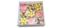 Luxury 9pk Cupcake Box With Clear Lid and Insert- 230mm x 230mm x 90mm - Pack of 10