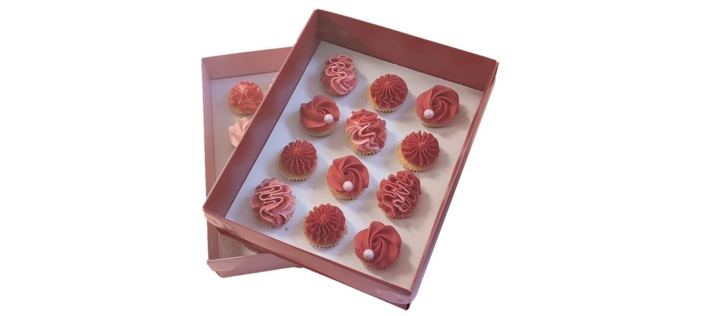 70mm Deep 12pk Mini Cupcake Box (Colour to be chosen, price may vary) With Clear Lid and White Insert - 250mm x 195mm x 70mm - Pack of 10