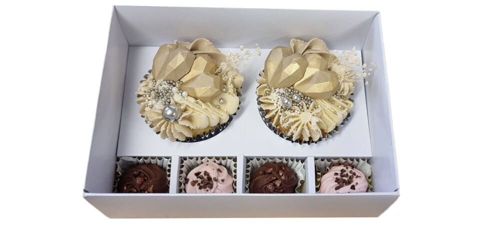 2pk Cupcake & 4 Cavity Chocolate Insert with Clear Lid (colour to be chosen) - 165mm x 115mm x 70mm- Pack of 10
