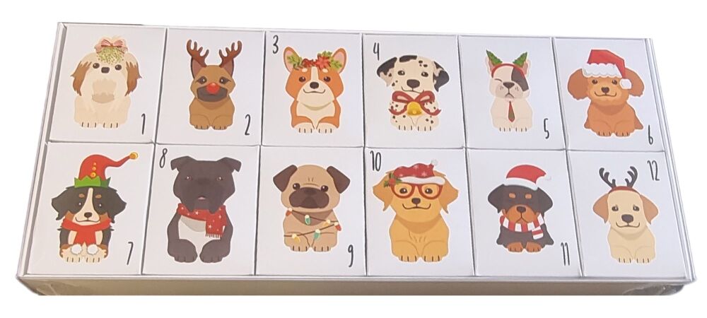 Christmas 12 Day Dog printed Advent Boxes with Outer Clear Lid Box - Single