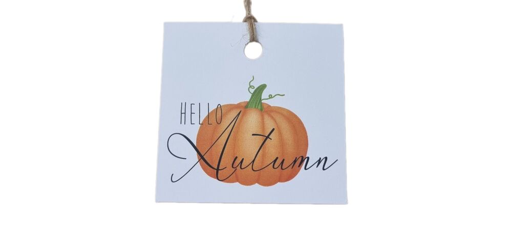 Halloween Pumpkin Square Swing Tags (Twine not included)- 50mm x 50mm - Pac