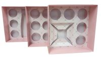 Pink Boutique Square Bento Boxes with Printed Insert and Clear Lid (Insert to be chosen)- 230mm x 230mm x 90mm - Pack of 10