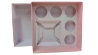 Square 5pk Bento Box with Insert and Clear Lid (Colour to be chosen)- 230mm x 230mm x 90mm - Pack of 10