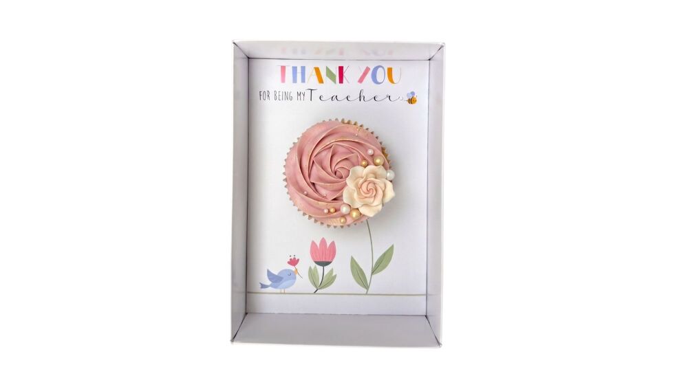 'Thank You for Being My Teacher' Single Cupcake Box with Clear Lid & Insert