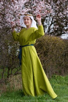 Medieval dress size12-16