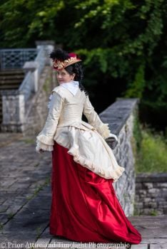 Victorian  day  dress 