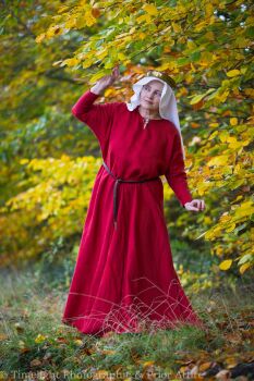 Medieval dress size 10-18