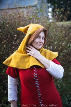 Medieval hood