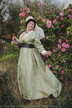 Burgundian gown silk