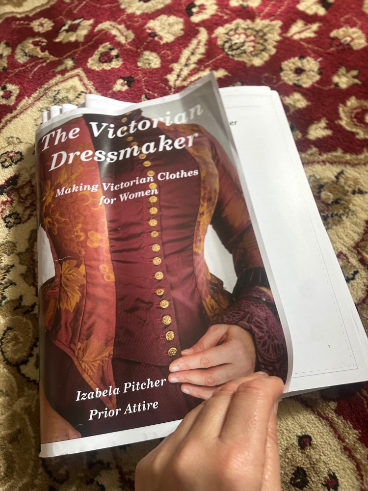 Victorian dressmaker1  Proof