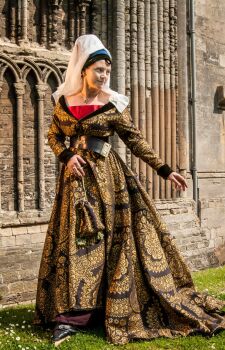 Burgundian gown  in posh fabric