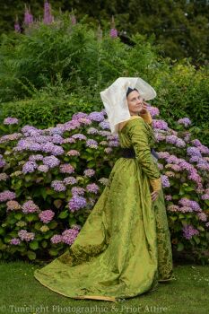 Burgundian gown