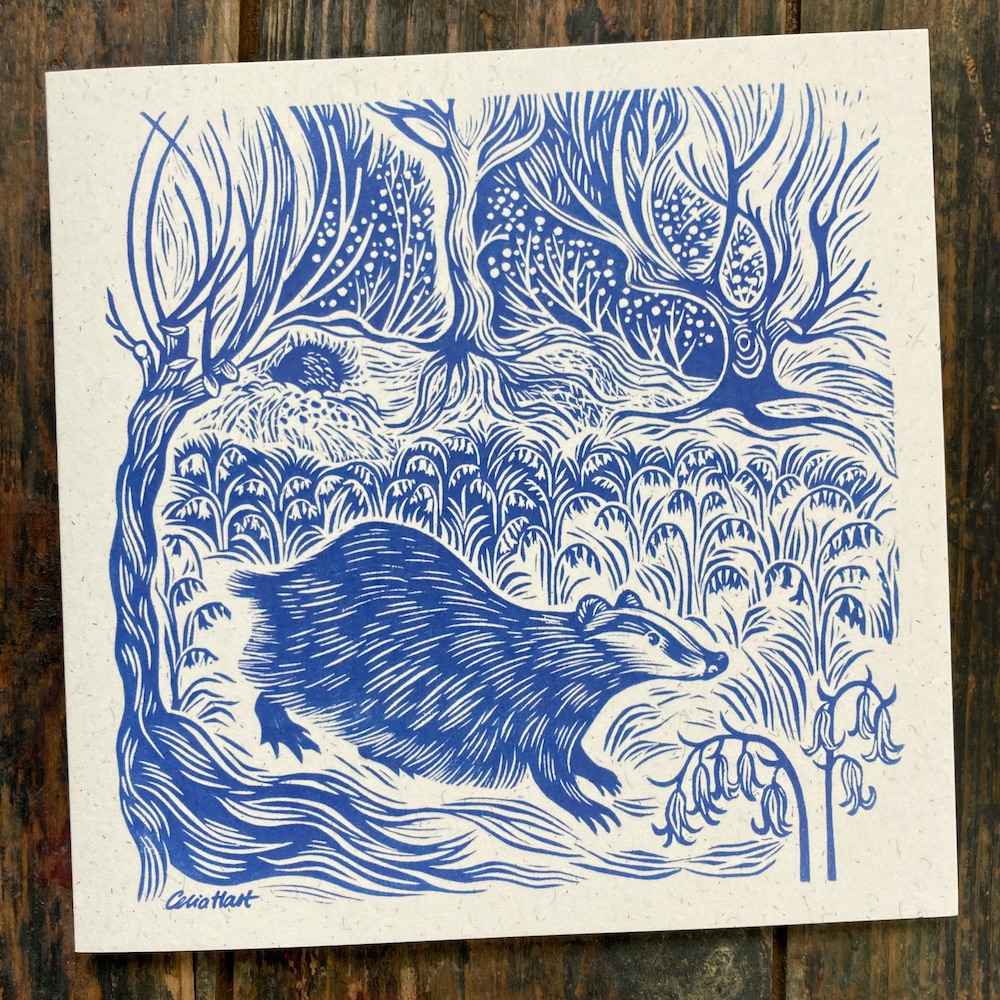 badger in the bluebells
