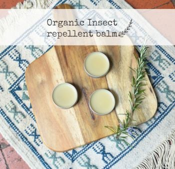 natural insect repellent recipe