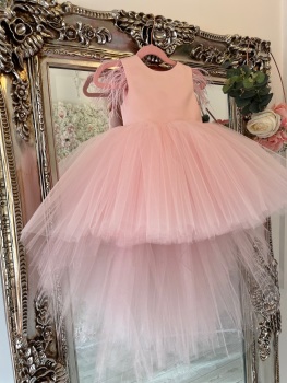 Baby Pink luxury tulle dress