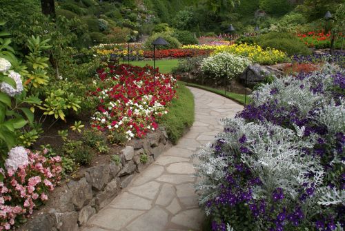 Photo of a winding crazy paving path, bordered with colour plants