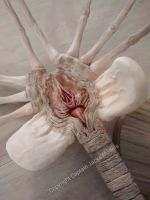 Ridley Scott's Alien - Facehugger - Collectors Display Model 
